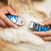 Dog Collar Seatbelt Buckle Buckle Down Shapes Turquoise White 18 to 32 Inches 1.5 Inch Wide
