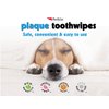 Petkin Cat and Dog Dental Wipes, 40 Wipes (Fresh Mint) - Natural Formula Cleans Teeth, Gums & Freshens Breath - for Daily Use - Convenient Dog Dental Care - 1 Pack of 40 Wipes