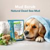SPA SYNERGY Dead Sea Mud Scrub for Dog with Natural Mineral & Vitamin-E, Dog Mud Scrub, Heavenly Perfumed, Hair Softener, Skin Soothing, Softening, Moisturizing. (Eucalyptus & Aloe Vera)