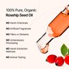 Oleo Botanicals Rosehip Seed Oil Organic, 100% Pure (Rosa Mosqueta) Cold Pressed & Unrefined - Nourishing - Face Moisturizer, Hair, Body & Nails - (60ml)