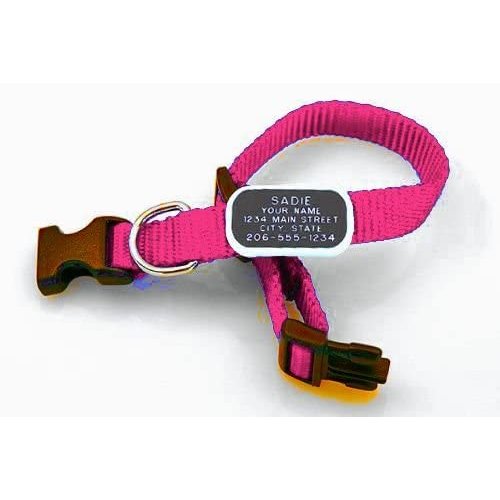 LuckyPet ID Collar - Personalized Pet ID Tag Attached to Lay Flat on an Adjustable Nylon Dog and Cat Collar, Size: Medium 10-16" x 5/8", Color: Bright Pink Collar & Black Tag