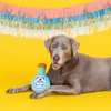 Fringe Studio Plush Dog Toy, BUT First Tequila(314021), Multicolor, Small