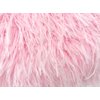 6 Inch Strip - Baby Pink Ostrich Fringe Trim Feather Craft Sample DIY Millinery Supply | Moonlight Feather