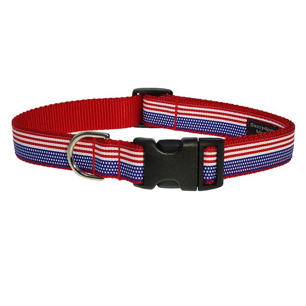 Sassy Dog Wear 10-14-Inch American Flag Dog Collar, Small