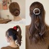 Sizobi 3 Pcs Bird Nest Magic Hair Clip,Hair Accessories for Women, Expandable Hair Bun Maker, Hair clips for Thick Thin hair, Hair Clips for Women and Girls, Ponytail Holders, Hair Bun Clip