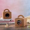 ezek Colored Gift Boxes With Window and Handle, Picnic Wedding Birthday Valentine Party, packs of 12