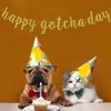 Happy Gotcha Day Banner, Pet Adoption Party Decorations Supplies, Dog Cat Gotcha Party Bunting Garland, Pre-assembled (Gold Glitter)