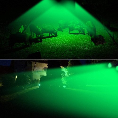 TRAIL WATCHER Deer Feeder Light Hog Hunting Light Motion Sensor 120°Angle IP65 Waterproof Outdoor Animal Game Feeder