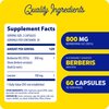 Enzymedica Berberine 800 mg – Vegan Capsules for Metabolic Support – from Sustainably Sourced Barberry – Non-GMO, Gluten-Free, No Fillers or Excipients – 60 Capsules
