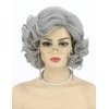 Topcosplay Old Lady Wig and Accessories 5pcs Set Granny Costume Wig Grandma wig Halloween Party Wigs