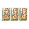 Nisha Creme Permanent Hair Color 100 percent Gray Coverage Hair Dye Easy to Apply Long Lasting Hair Colouring For Ultra Soft Deep Shine Conditioning With Natural Herbs Pack of 3 (Ultra Blonde)