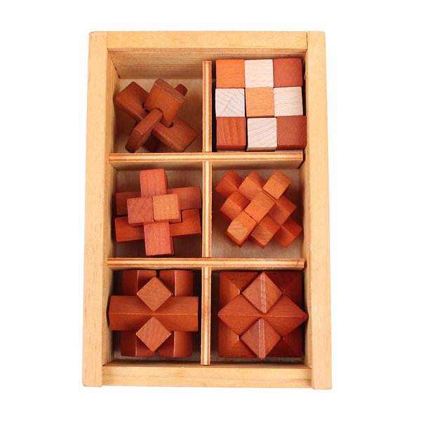 Brain Teaser Puzzles 3D Children's Adult IQ Test Puzzles for Unlock Interlock Puzzle Wooden Toys