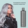 MOEHAIR Color Infuse Silver Shampoo | Paraben & Sulfate Free Shampoo | Removes Unwanted Orange Tones | Silver Purple Shampoo | Neutralizes Brassiness | Professional-Grade Toning Shampoo (12 Fl. Oz)