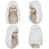 Ebingoo White Judge Wig + Glasses + Wig Cap Judge Colonial Wig Adult Judge Costume Accessories White Lawyer Wig for Men Halloween Party Costume Cosplay