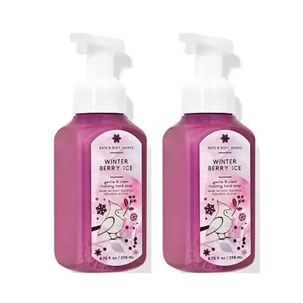 Bath and Body Works Gentle Foaming Hand Soap 8.75 Ounce 2-Pack (Winterberry Ice)