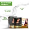 Herbishh Hair Color Shampoo 2 Travel Pack Combo + 1 Pro-Keratin Argan Hair Mask for Deep Conditioning & Hydration 3 in 1 Permanent Hair Dye Shampoo for Grey Hair (Black)