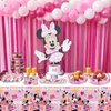 Minnie Birthday Party Supplies, 20 Plates, 20 Napkins and 1 Tablecover for Mouse Party Decorations