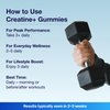 Bear Balanced Creatine Gummies for Men & Women - Creapure® Creatine Monohydrate, L-Theanine, L-Tyrosine & B12 for Muscle Growth, Strength, Focus, Energy & Health - Low Calorie, Sugar-Free, & Vegan