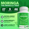 Rosabella Moringa Capsules - Pure Moringa Powder, Energy, Skin, Immune & Gut Health Superfood, Rich in Antioxidants, Essential Vitamins & Amino Acids, Natural Green Superfood Supplement - 60 Count