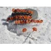 Carnelian Stone Hair Clip Set - Includes 2 Hair Combs, 1 60 mm French Barrette, 2 Hair Pins