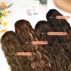 SEIKEA 26" Highlight Ponytail Extension，PT003 Eva Long Drawstring Ponytail Wavy Clip in Hair Extensions Ponytail Natural Soft Synthetic Hairpiece for Women Chocolate Brown with Blonde Highlights