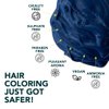 Paradyes Sapphire Navy Semi Permanent Conditioner Based Hair Color Enriched with Vegan, Natural and Herbal Hair dyes - lasts up to 8-10 washes (4.2 oz)
