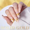 PrettyDiva Nail Powder Gold Chrome Nail Powder Chrome Powder Nail Art Solid Nail Art Powders for Nails