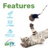 Katfly Turkey Cat Wand Toy with Real Feather Cat Toy Wand — Interactive Cat Toy for Cat Entertainment, Cat Toy String On A Stick, Cat Teaser for Indoor Cat and Kitten — Turkey (3 Inches)