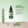 Rosemary Oil for Hair Growth and Skin Care,100% Pure Natural Rosemary Hair Oil，Rosemary Oil for Hair Growth Organic