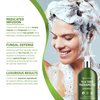 Roycederm Tea Tree Antifungal Shampoo: Antifungal Formula for Scalp Health, Deep Cleansing, Oily Hair, and Itchy Scalp Relief - Natural Botanicals, Paraben & Sulfate Free