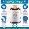 Irish Sea Moss Organic Bladderwrack Burdock Root 120 Capsules - Wildcrafted Seamoss Raw Organic Herb Cell Health Irish Moss Powder Gel Pills - Alkaline Supplements Vegan Super Food - 2 Month Supply