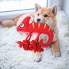 Dog Squeaky Toys,Cartoon Lizard Shaped Puppy Chewing Toys Durable Stuffed Plush Dog Toys for Aggressive Chewers