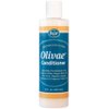 Olivae Conditioner, Organic Olive Oil Conditioner with Organic Botanical Oils, Specially Formulated to Nourish Hair Follicles, Roots & Scalp. 8 oz.