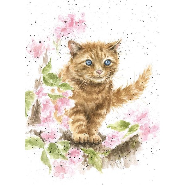 Wrendale Designs Greeting Card - THE MARMALADE CAT (Cat)
