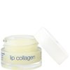 Somaluxe Collagen Dream Duo: Stem Cell Face Moisturizer & Lip Collagen for Youthful, Full and Softer Skin (Set)