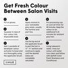 dpHUE Root Touch-Up Kit, Dark Brown - Permanent Hair Color for Gray Coverage - Includes Two Applications - Paraben, SLS & SLES Sulfate Free - Leaping Bunny Certified