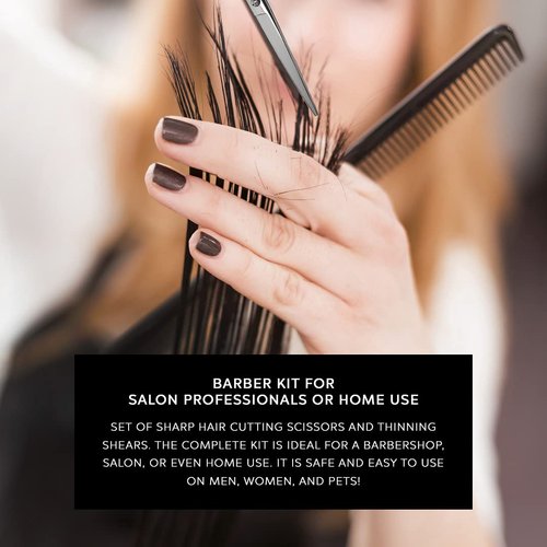 DreamCut 6" Professional Hair Scissors and Thinning Shears 440C Japanese Stainless Steel Kit