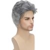 Daiaces Mens Grey Wig Short Curly Wig Layered Natural Synthetic Men's Wig Party Cosplay Wig Mens Halloween Costumes Wig