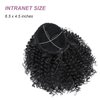 Aientt Ponytail Extension Curly Wavy Ponytail Drawstring Ponytail Hair Extensions for Women Natural Wavy Synthetic Hairpiece for African Women Daily Use Party(PT110-1B#, 8Inch)