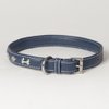 Medium Soft Blue Napa Leather Padded Decorated Azzurro Dog Collar - Fits 14" - 18" Neck Size