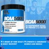 Evlution EVL BCAAs Amino Acids Powder - BCAA Powder Post Workout Recovery Drink and Stim Free Pre Workout Energy Drink Powder - 5g Branched Chain Amino Acids Supplement for Men - Blue Raz