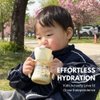 GROSMIMI x KNOTTED Flip Top Spill Proof Sippy Cup, PPSU, BPA Free, Stage 2 Straw for Toddlers (Cream bunny 6oz)