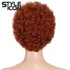 Style Icon Afro Wigs Human Hair Short Curly Wigs Glueless Orange Wigs (DYFHL 350/S ORANGE)