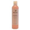 Paige Meadows 8 oz Meadowsweet Romance Body Wash