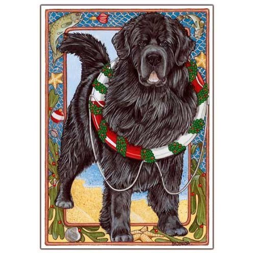 Newfoundland Christmas Cards : 10 Holiday Cards with White Envelopes - Adorable!