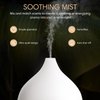 SALKING Essential Oil Diffuser, 100ml Small Aromatherapy Diffuser with Auto Shut-Off Function, Ultrasonic Diffusers for Essential Oils, Cool Mist Humidifier with Warm White Lights, for Office Home