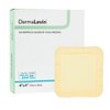 DermaRite's DermaLevin Waterproof Adhesive Foam Island Dressing, Absorbent Wound Care with Border, Sterile - 4 in. x 4 in., 1 Count, 10 Packs, 10 Total