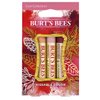 Burt's Bees Kissable Color Holiday Gift Set, 3 Lip Shimmers in Gift Box - Cool Collection in Watermelon, Apricot and Grapefruit