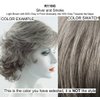 Bundle - 5 items: Winner by Raquel Welch Wig, Christy's Wigs Q & A Booklet, Wig Shampoo, Wig Cap & Wide Tooth Comb (Color Selected: R119G)