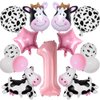 Cow Balloons, Holy Cow Im One Birthday Decorations Girl Cow Print Balloons 1st Birthday Party for Cow Farm Animal Theme Cowgirl First Birthday Party Supplies